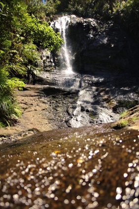 NZ-waitakere-fairy-falls
