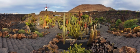 Cactus garden designed by César Manrique in Guatiza, Lanzarote. The windmill was once used to produce gofio.